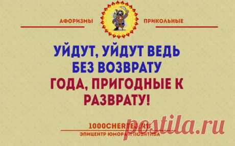 20 жизненных открыток с философским юмором - Смехотерапия - 13 марта - 43439455455 - Медиаплатформа МирТесен