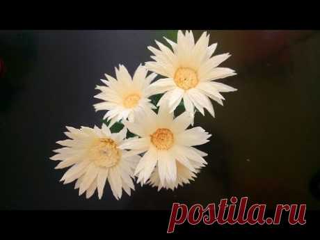 Daisy paper flower - Hướng dẫn làm hoa cúc