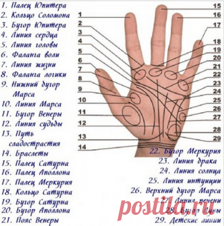 75 способов определения болезни по руке . Это потрясающе, лучше этих способов я еще не находила. Это просто поразительно!