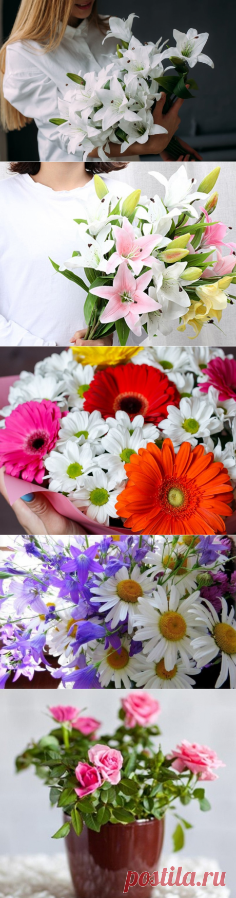 Какие виды цветов подарить подруге в день рождения на 16 лет:
Цветы розы, лилии или смешанный букет, полевые (фото) какие из них подарить подруге на день рождения в 16 лет: