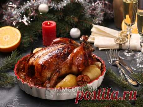 Курица в медово-апельсиновом соусе в духовке — рецепт с фото Простой рецепт мягкой и сочной запечённой курочки для праздничного новогоднего стола.