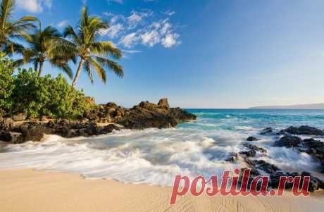 Разбираем тему: Почему на Гавайях запрещено использование солнцезащитных кремов? | VestiNewsRF.Ru