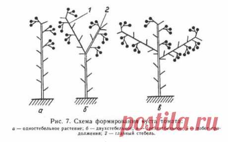 Одноклассники