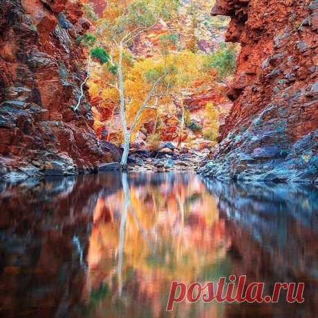 'Gateway to Eden' ~ Australia