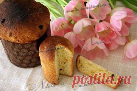 Panettone | Natalia  Panettone — итальянская рождественская выпечка.