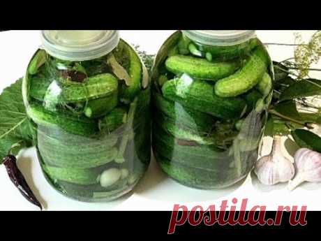 САМЫЙ ПРОСТОЙ способ засолки огурцов на зиму. КВАШЕНЫЕ ОГУРЦЫ /Salted cucumbers