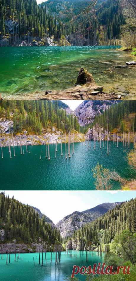 Озеро Каинды - затонувший лес в Казахстане (14 фото) / Фото / Развлекательный Портал MainFun.ru