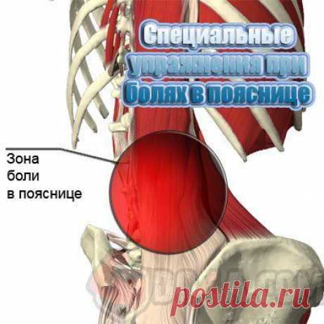 |Специальные упражнения при болях в по / Спорт Сильных!