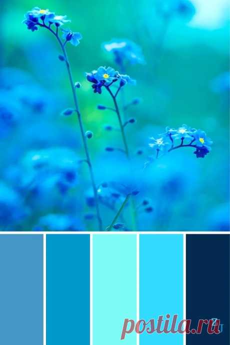 сочетание синего цвета с другими цветами: 2 тыс изображений найдено в Яндекс Картинках