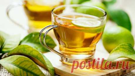Зеленый чай для похудения в домашних условиях, его польза и вред
