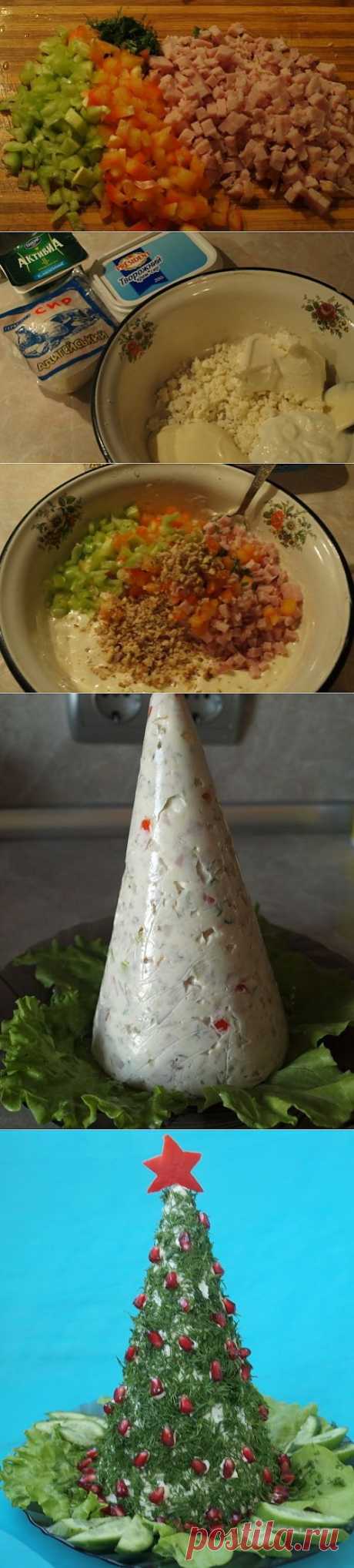 Салат-желе «Вкусная ёлочка» / Сырные салаты / TVCook: пошаговые рецепты c фото