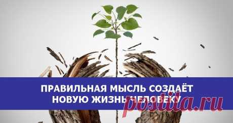 ПРАВИЛЬНАЯ МЫСЛЬ СОЗДАЁТ НОВУЮ ЖИЗНЬ ЧЕЛОВЕКУ - Эзотерика и самопознание