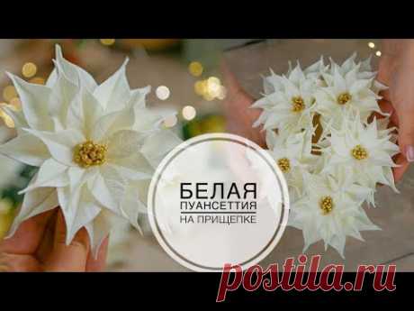 DIY POINSETTIAS / НОВОГОДНИЙ декор / ПУАНСЕТТИЯ своими руками / DIY TSVORIC