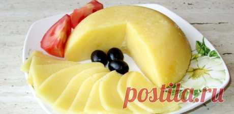 Домашний сыр из творога в домашних условиях