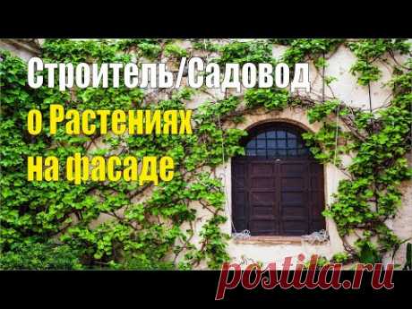 2 часть Строитель | Садовод О растениях на фасаде