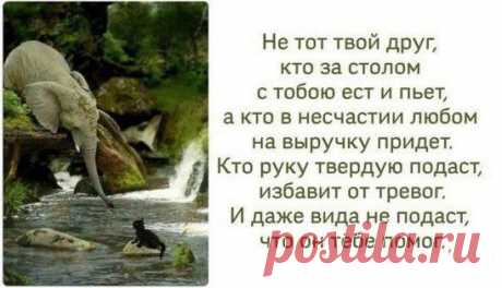 Людям не всегда нужны советы. Иногда им нужна рука, которая поддержит. Ухо, которое выслушает и сердце, которое поймет.