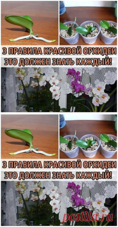 1 непрочитанный чат