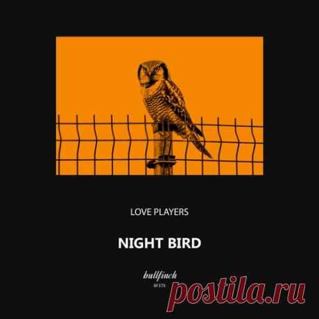 Love Players - Night Bird [Bullfinch]