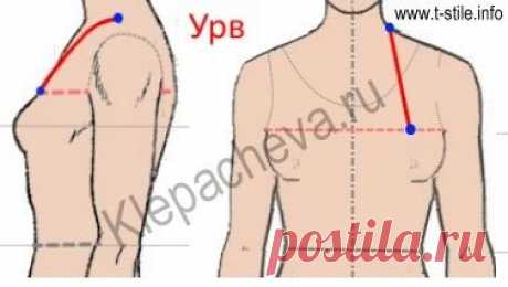 Нагрудная вытачка переда | Искусство шить