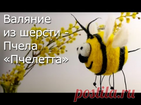 Мастер Класс валяние из шерсти - Пчела «Пчелетта»