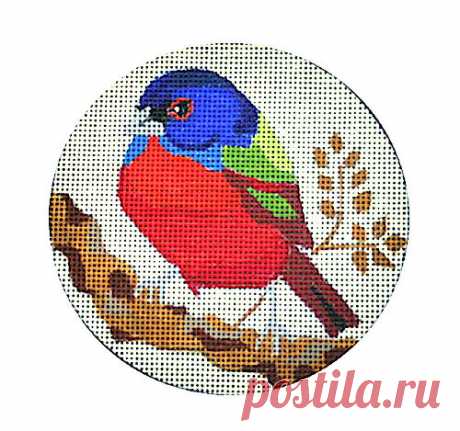 Painted Bunting | Melissa Prince