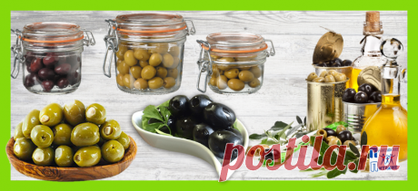 Оливки: польза и вред, чем отличаются от маслин, калорийность, чем полезны и опасны