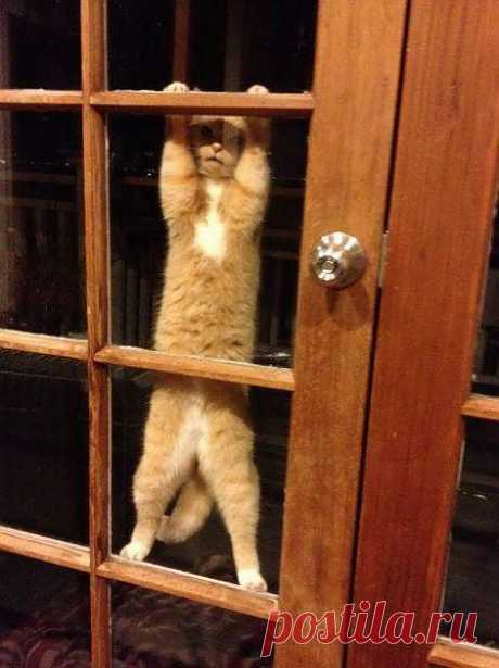 Yoo Hoo.....anybody home? I want IN!