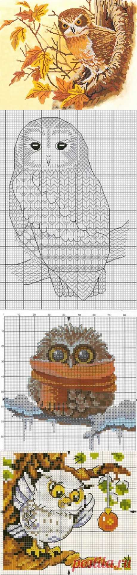 Совы, совушки и совята ... 50 схем для вышивки крестом