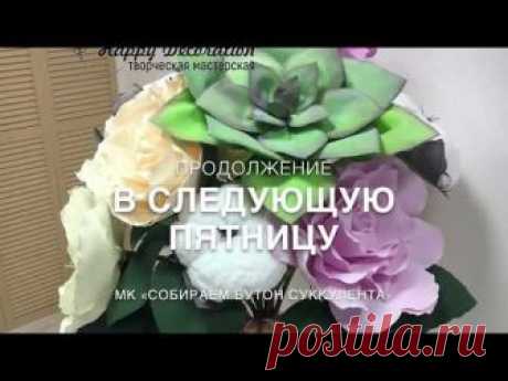 Гигантский, ростовой суккулент. Часть 2.\Giant succulent Part 2. We welcome the material.