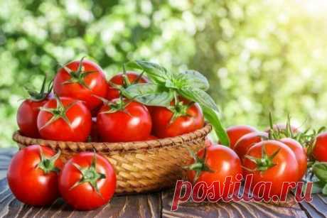 Что делать, чтобы томаты прижились и дали щедрый урожай -
Просто и эффективно
Одна таблетка содержит активный компонент массой 0,1 грамм. При использовании на 10-литрового объема жидкости удобрения понадобится 2-3 г.  Зиму...