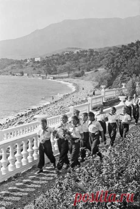 &quot;Артек&quot;, 1956 год.  © Р. Мазелев/ТАСС,  Подробнее на ТАСС:  https://tass.ru/crimea/theme/tourism   |  Новый Крым: спецпроект ТАСС