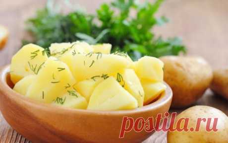 Не хуже ресторанной: Как сделать отварную картошку главным блюдом на столе