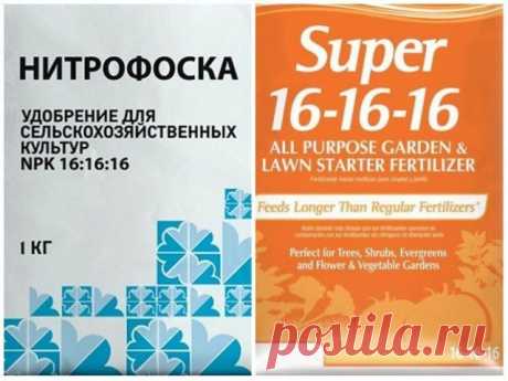 NРK – что это такое, как определить состав и количество удобрения | Удобрения и стимуляторы (Огород.ru)