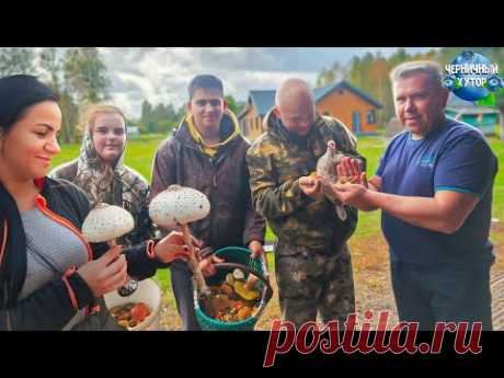 Сбор грибов на Черничном Хуторе. Избавлялись от уток, а на голову свалились цыплята