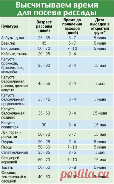 Рассадная считалочка для начинающих дачников | Дачный участок