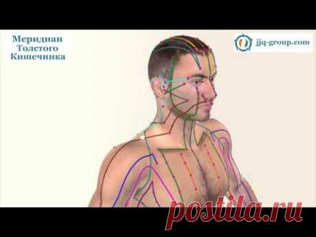 Канал Толстого Кишечника в Акупунктуре, Иглоукалывании и Китайской Медицине - 3D модель