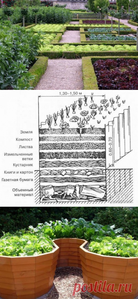 Интересные варианты грядок