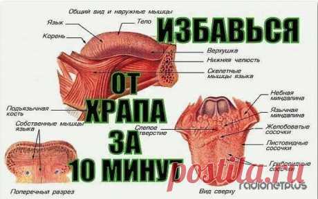 КАК ЗА 10 МИНУТ ИЗБАВИТЬСЯ ОТ ХРАПА НАДОЛГО