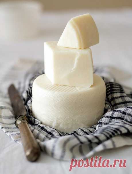 Как приготовить сыр из молока в домашних условиях. Приготовление сычужного сыра Сычужный сыр, рецепт: свежее молоко плюс сычужный фермент
