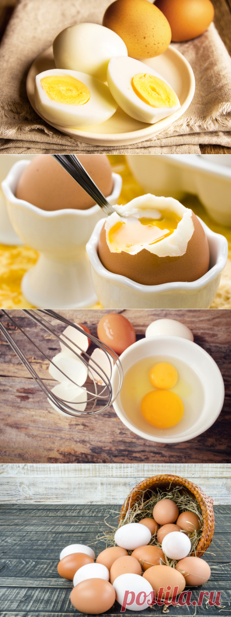 Десять причин включить в рацион куриные яйца