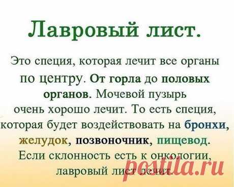 ЛАВРОВЫЙ ЛИСТ В ПОМОЩЬ 

Именно остеохондроз является причиной боли в спине в 80% случаев.

Для тех, у кого застарелый остеохондроз, лучше любых мазей из аптеки помогают средства на основе лаврового листа.

Вот отличные рецепты:
1) Лавровое масло. Залить стаканом оливкового масла 1 ст. ложку мелко нарезанных лавровых листьев и настаивать 15 дней в теплом месте. Лучше всего втирать масло в больные места на ночь, а потом тепло укутываться.

2) Настой. Взять 1 ч. ложку измель...