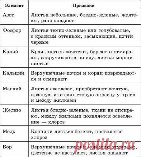 Чего не хватает вашему растению
Ответ прост – минеральных веществ