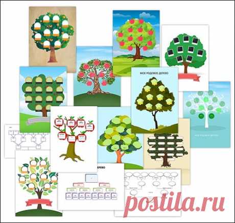 Родовое дерево: скачать и распечатать шаблон — 3mu.ru