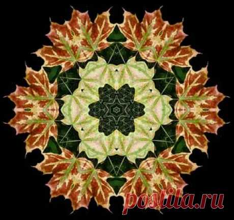 мандалы из цветов и листьев: 2 тыс изображений найдено в Яндекс.Картинках