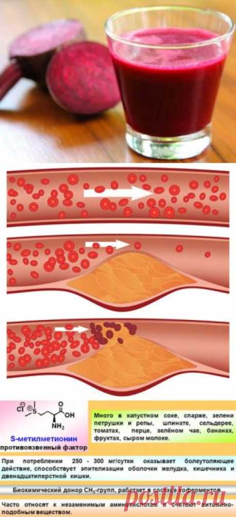 Полезные и лечебные свойства свеклы | Правила здоровья и долголетия