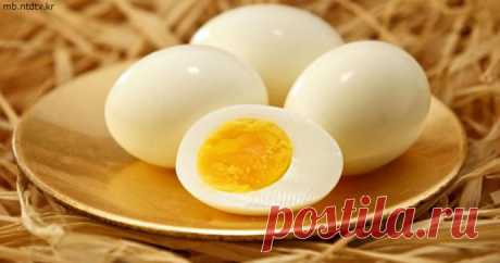 Диета вареных яиц: за 2 недели можно скинуть до 11 кг
