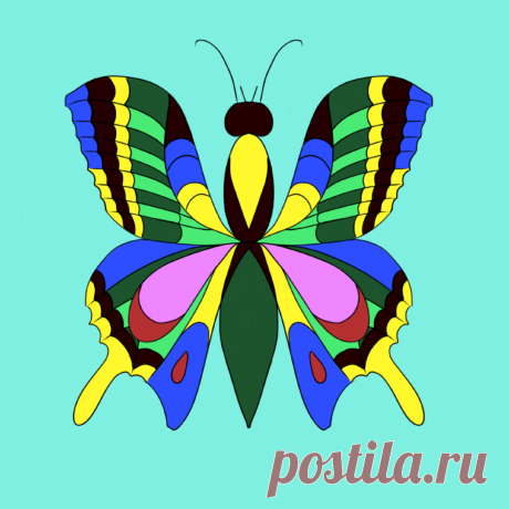 Как нарисовать бабочку Пошаговый мастер-класс для занятий с детьми | Разукрашка | Яндекс Дзен