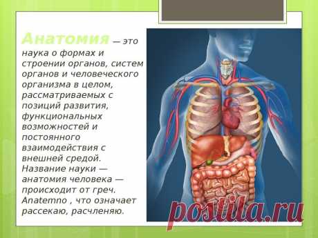 Картинки «Анатомия» (36 фото) ⭐ Забавник
