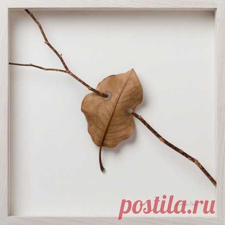 Художница делает невероятные произведения из хрупких осенних листьев и обычных ниток