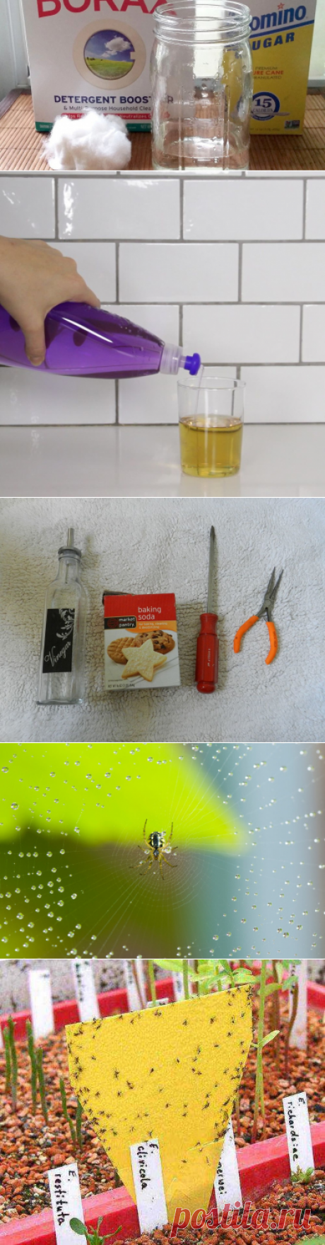 Easy DIY Remedies For Your 7 Most Hated Bugs | Hometalk